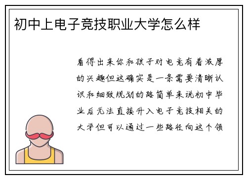 初中上电子竞技职业大学怎么样